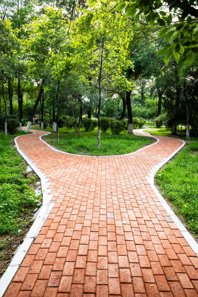 Forke Path 4,500+ Fork In Path Stock Photos, Pictures & Royalty-Free Images - iStock