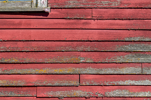 Close-up abstract texture background of rustic red painted lap siding on an old 19th Century wooden barn.