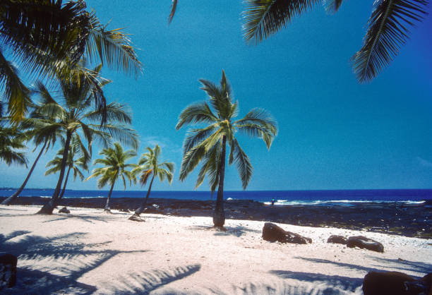 istock Hawaii Big Island - Sand Beach Palms & Ocean - 1990 1268616579