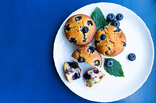 Blueberry muffins in white plate on blue background with copy space
