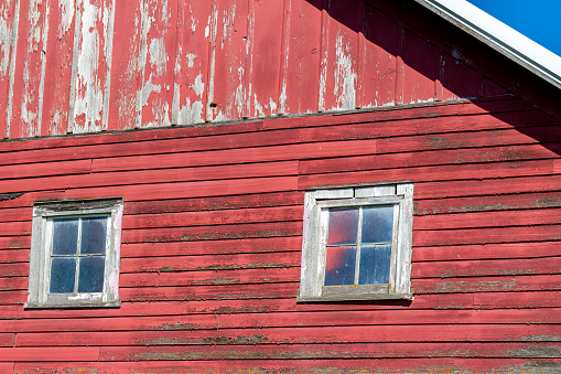Abstract texture background of rustic and weathered wood lap siding on an old late 19th Century weathered red painted barn with windows, showing significant deterioration from age.