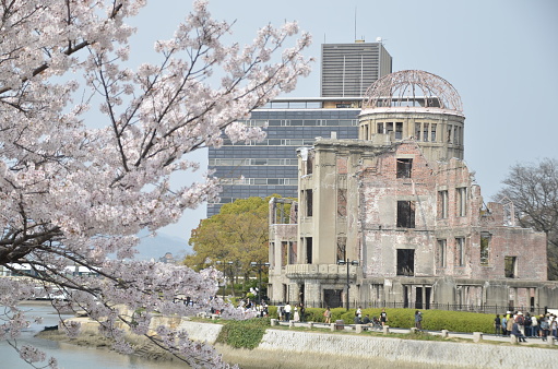 Cherryblossom Sakura and Atomic bomb dome, Hiroshima, Japan