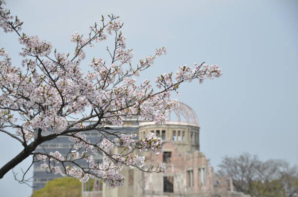 istock Sakura and Atomic bomb dome, Hiroshima, Japan 1268624075