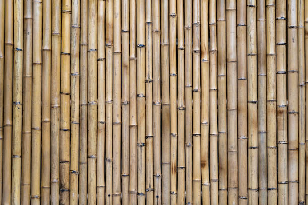 istock Bamboo fence or wall texture background for interior or exterior design. 1268627921