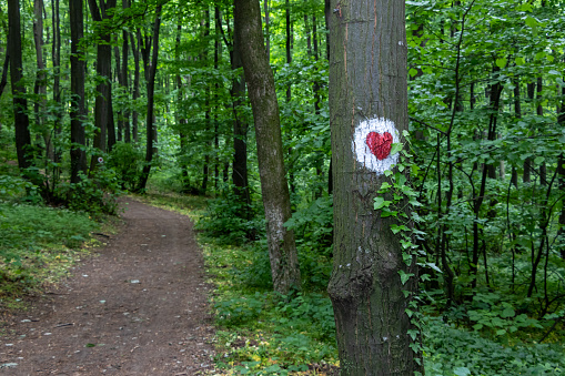 Hiking trail heart shape sign on the tree