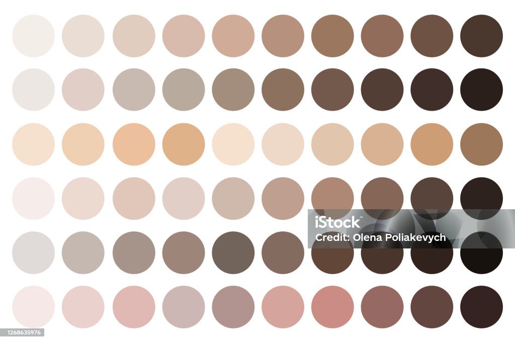 Skin Tones Beige Palette Fundamentals Of Complexion Shades Samples Of  Makeup Shades Vector Illustration Stock Image Stock Illustration - Download  Image Now - iStock