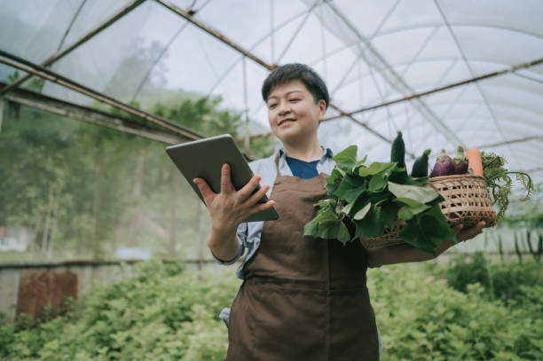 asian chinese mid adult woman examining her organic farm growth with digital tablet recording asian chinese mid adult woman examining her organic farm growth with digital tablet agricultural building photos stock pictures, royalty-free photos & images