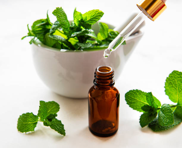 istock Mint oil and fresh mint in mortar 1268639722