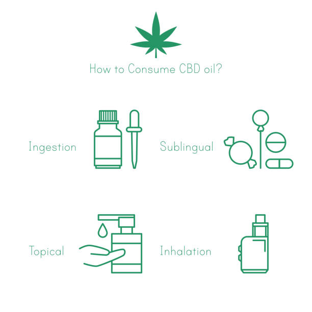 illustrations, cliparts, dessins animés et icônes de produit de chanvre d’huile de cbd. extrait de cannabis à l’huile de cbd. de la marijuana médicale. comment consommer de l’huile de cbd? ingestion, sublingual, topique, inhalation. huile de cbd - sublingual