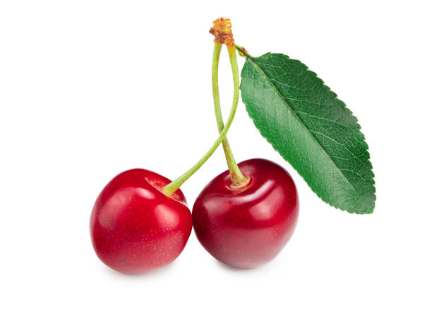 istock red cherry fruit with green leaf isolated on white background 1268642238