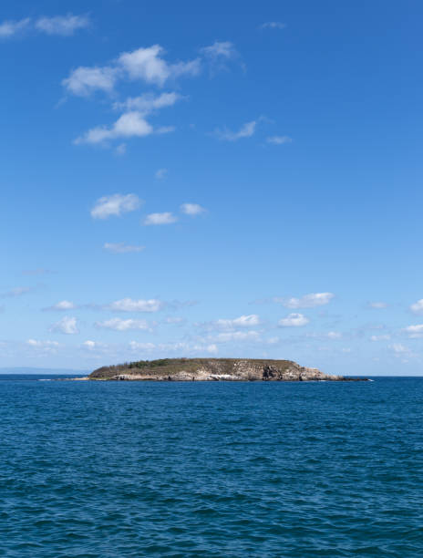 istock A lonely uninhabited island in the sea 1268650308