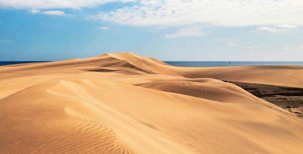 sand dunes on the beach, dunes maspalomas gran canaria stock photo