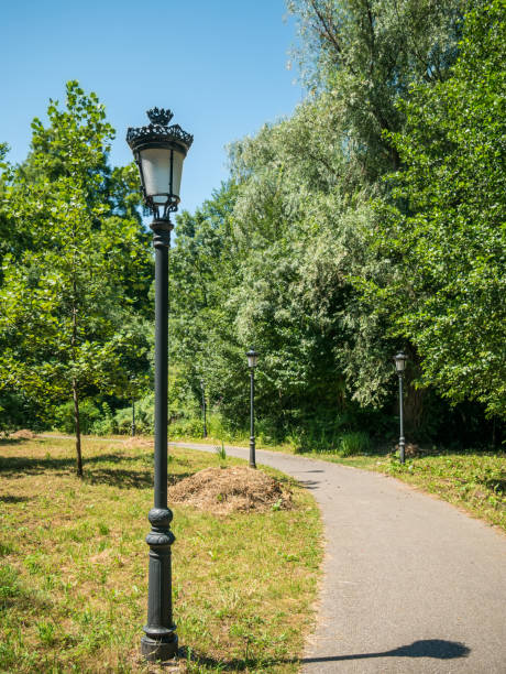 istock An empty alley or a footpath in the park with lamp posts on both sides. 1268652100