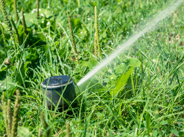 istock Lawn or garden water sprinkler spraying water over grass. 1268652101