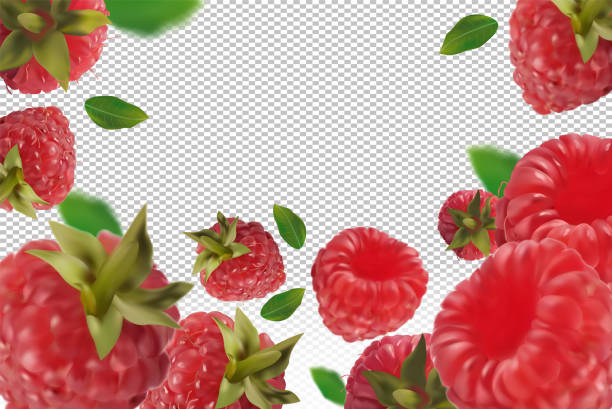 himbeer-hintergrund. fliegende himbeere mit grünem blatt auf transparentem hintergrund. himbeere fällt aus verschiedenen winkeln. motion himbeerfrüchte sind ganz. 3d realistischer vektor. - falling fruit berry fruit raspberry stock-grafiken, -clipart, -cartoons und -symbole