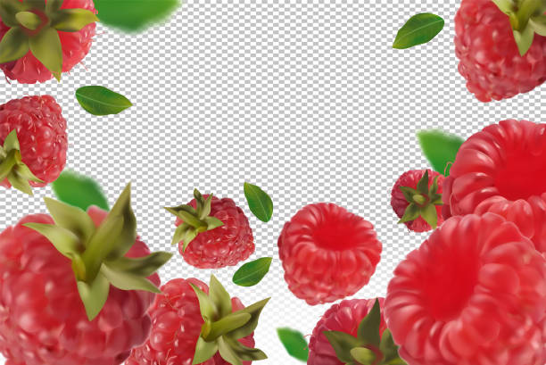 Blue Raspberry Falling Cartoon 400+ Falling Raspberries Stock Illustrations, Royalty-Free Vector ...