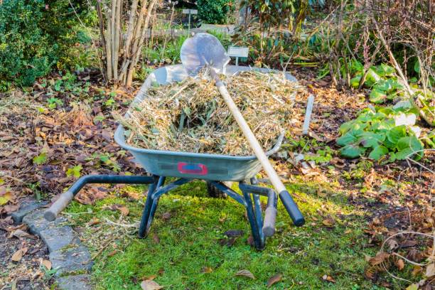 istock Wheelbarrow with Equipment in Park 1268653469