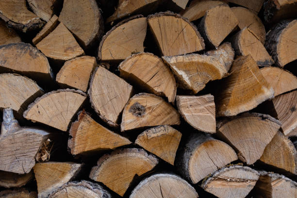 istock wall of stacked dried firewood under a canopy 1268653562