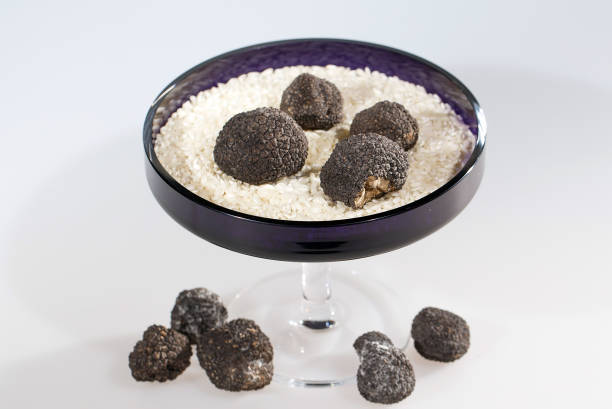 istock Black Truffles in rice on a white background. 1268654885