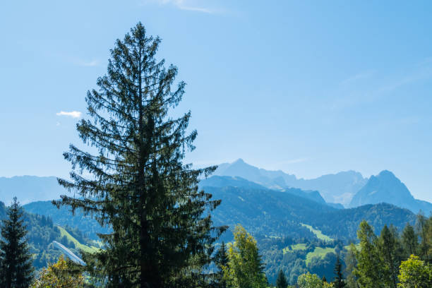 istock Landscape of Alps Bavaria in Spring 1268655215