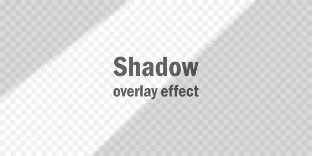 Vector illustration of Overlay shadow effect. Tropical leaf shadow. Sunlight mock up for design, presentation, invitation, advertising banner etc.
