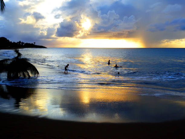 Guadeloupe is a French island in the Caribbean with magnificent beaches, a tropical forest and a volcano.\nRifflet is a seaside resort on the Northwestern shore of Basse-Terre, with some of the most beautiful beaches on the island.