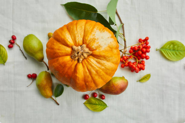 istock Festive autumn decor from pumpkins, pears, leaves, acorns on white tablecloth 1268661438