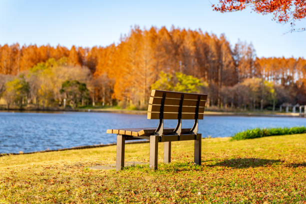 istock Park in autumn.Autumn landscape background. 1268662454