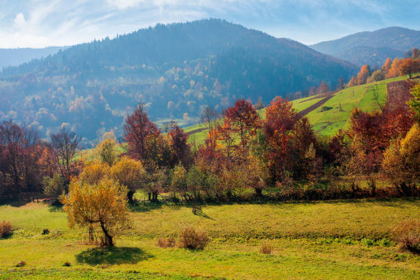 istock countryside autumn scene in mountains 1268663321
