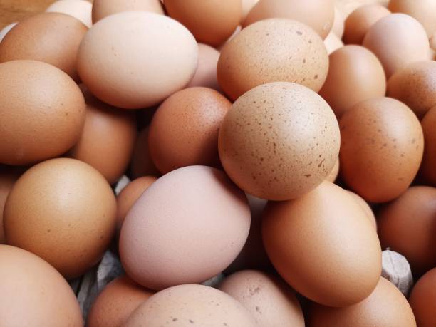 istock Full frame of eggs at the market 1268663698