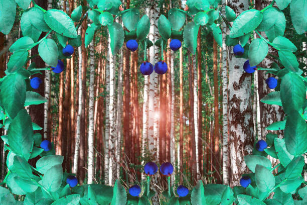 single birch closeup over small ecological settlement blurred background