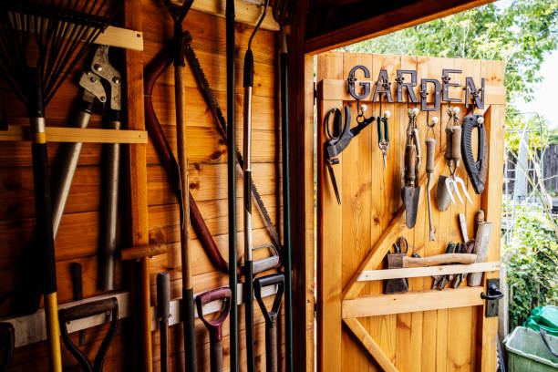 Interior of wooden gardening shed with neatly arranged tools Inside view with open door of organized shed filled with rake, shovels, trimmer, saw, and other hand tools required for maintenance of well tended garden. shed stock pictures, royalty-free photos & images