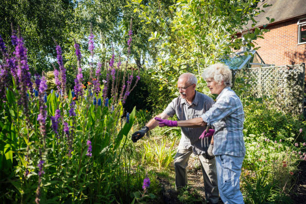 istock Senior couple pruning plants in their rustic cottage garden 1268668277