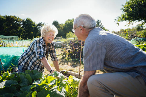 istock Smiling senior couple caring for squash plants in allotment 1268668308