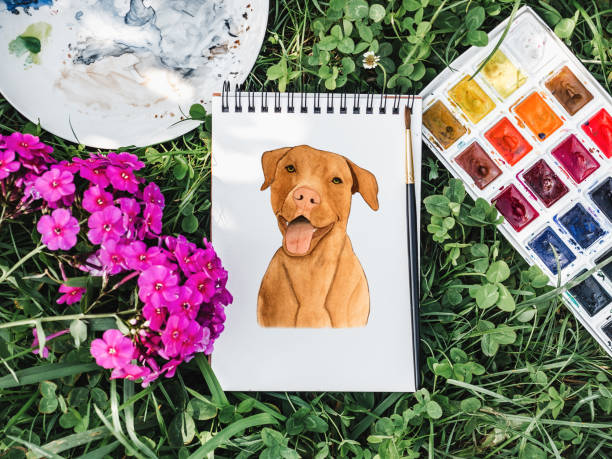 チョコレート色の愛らしい、かわいい子犬。クローズ アップ - 5953 ストックフォトと画像