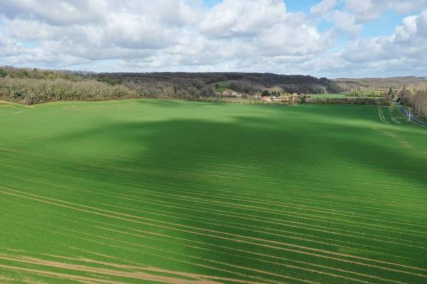 istock Minimalism and country landscape 1268675345