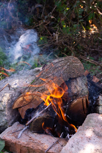 istock Bonfire in the garden 1268676818