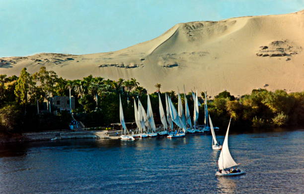 The nineties. Panoramic view to Lord Kitchener's island (the Botanical Island) at sunset. Aswan, Upper Egypt.