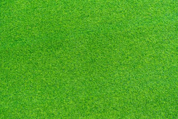 istock Top view of Artificial grass background. Wallpaper and background concept. 1268681357