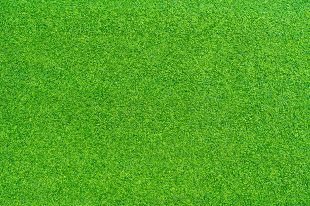 istock Top view of Artificial grass background. Wallpaper and background concept. 1268681419
