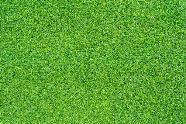 istock Top view of Artificial grass background. Wallpaper and background concept. 1268681626