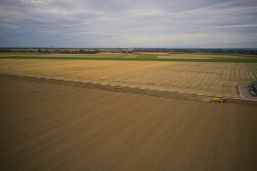 In summer, soybeans grow on the farm field