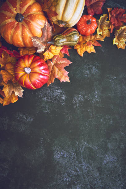 istock Autumn Decoration Background with Pumpkins, Leafs and Nuts 1268686097
