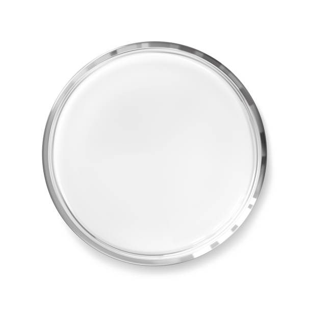 Empty Transparent Petri Dish Isolated Realistic Vector Illustration Science And Laboratory Concept Stock Illustration - Download Image Now - iStock Empty Transparent Petri Dish Isolated Realistic Vector Illustration Science And Laboratory Concept Stock Illustration - Download Image Now - iStock