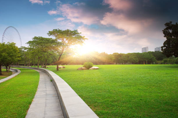 istock The parks, meadows and thick woods under the clear sky in spring 1268688907