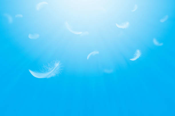 istock Abstract, Freedom. Group of light fluffy a white feathers floating in a blue sky. 1268690141