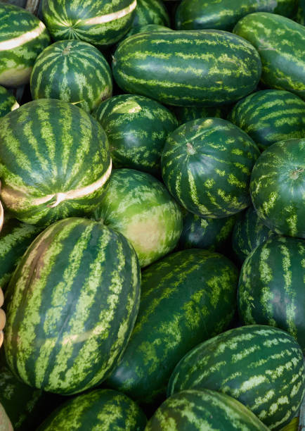 istock fresh watermelon on the market 1268690158