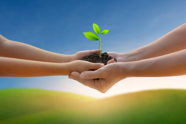 istock Hands holding tree growing on green mountain under blue sky. Beauty nature,for good environment. 1268691286