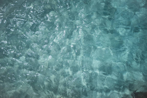 istock Clear turquoise sea water 1268691853