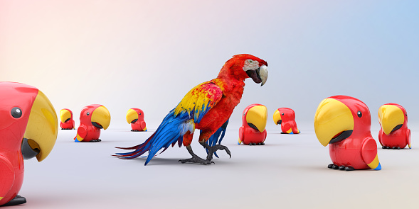 A scarlet Macaw Parrot with on foot up, standing in the middle of a group of identical plastic toy parrots on a light coloured background.